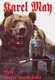 Obálka knihy Syn lovce medvědů z roku 1997. | Il. Libor Balák.